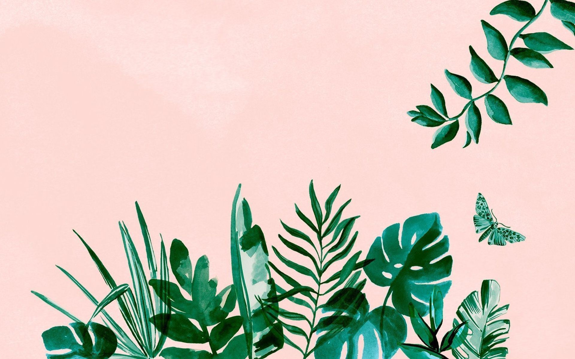 A painting of plants and butterflies on pink background - MacBook, green, pastel, desktop, plants, summer, June, leaves, laptop, tropical, couple, iMac