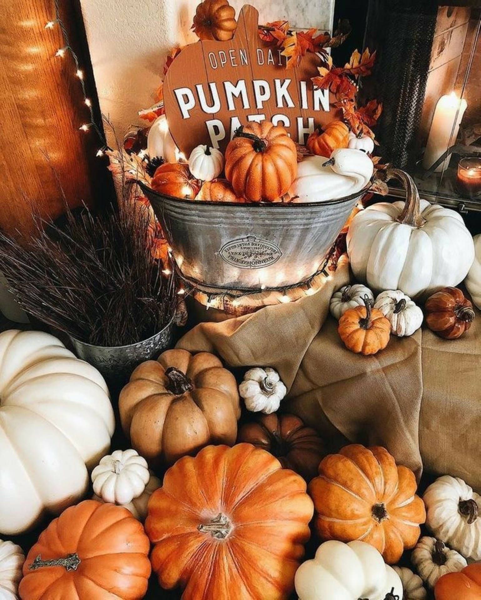 A bucket of pumpkins and other fall decorations - Pumpkin, Halloween
