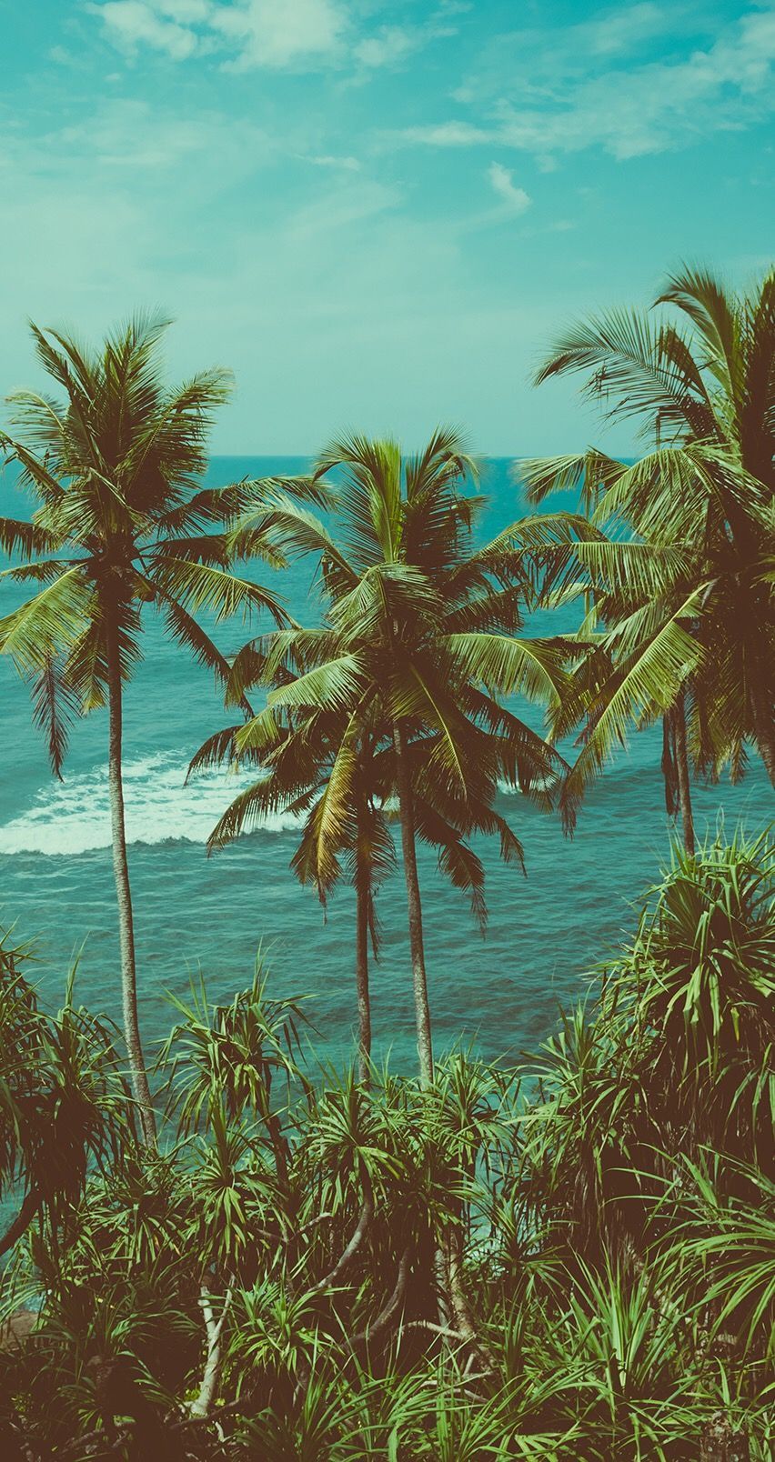 Tropical Aesthetic Wallpaper Free Tropical Aesthetic Background