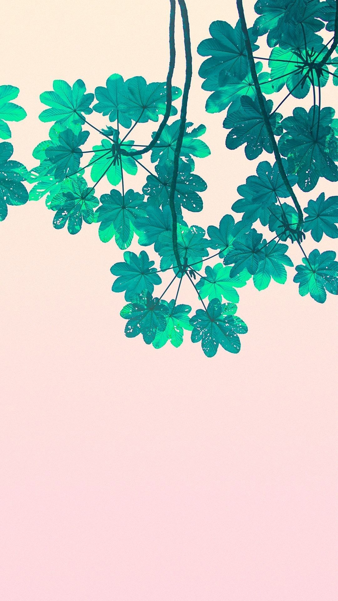 Green leaves wallpaper for iPhone with high-resolution 1080x1920 pixel. You can use this wallpaper for your iPhone 5, 6, 7, 8, X, XS, XR backgrounds, Mobile Screensaver, or iPad Lock Screen - Pastel minimalist, minimalist