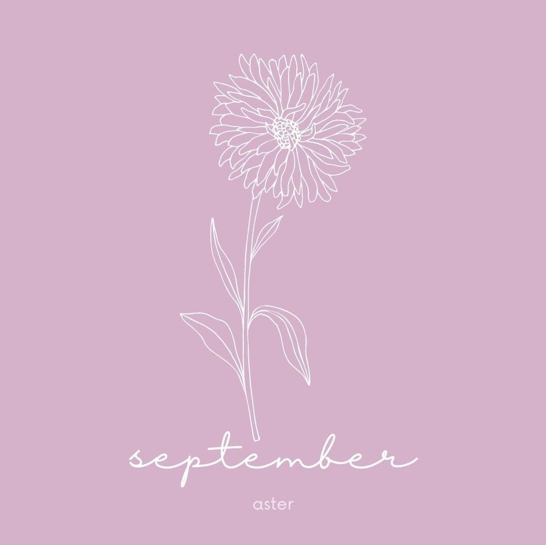 September Aster - Asters are beautiful flowers that bloom in the fall. They come in a variety of colors, including pink, purple, and white. September is often associated with the aster flower, which is why it's often used as a symbol of the month. - Calligraphy, minimalist, September
