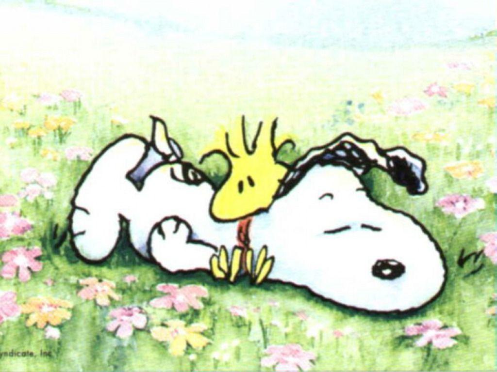 Snoopy Wallpaper For Free