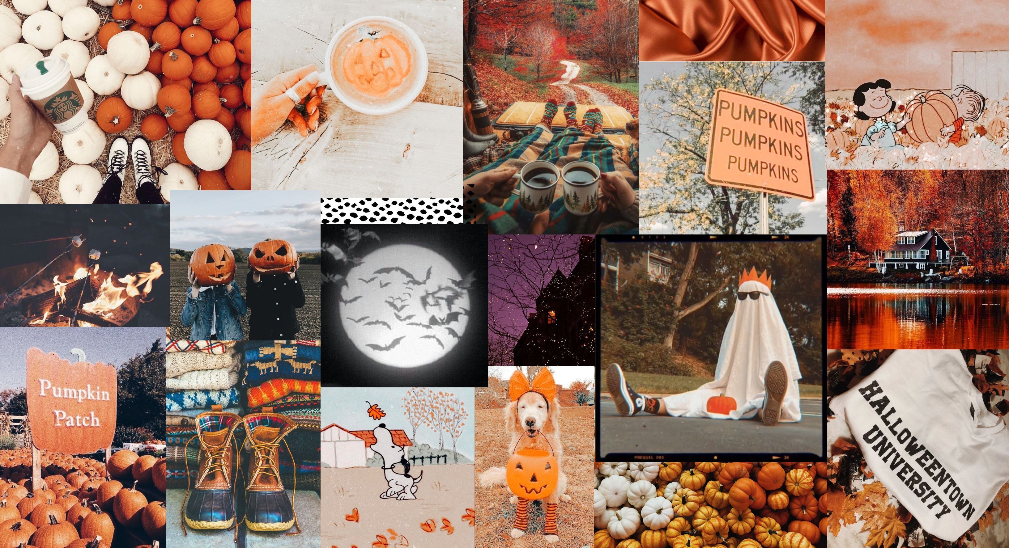 A collage of orange and white Halloween themed pictures. - Halloween desktop, Halloween