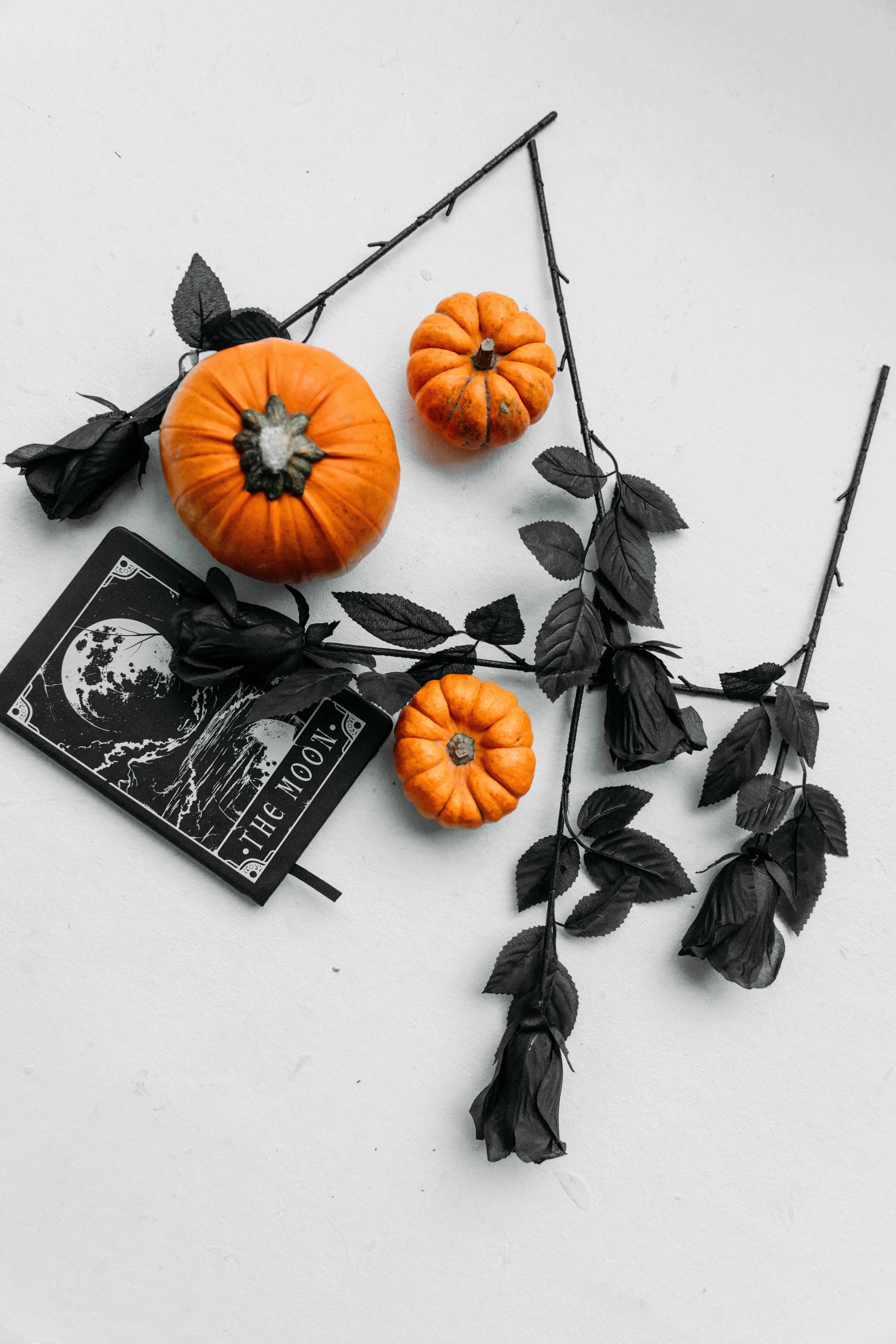 Flat lay of pumpkins, a tarot card, and black roses - Halloween