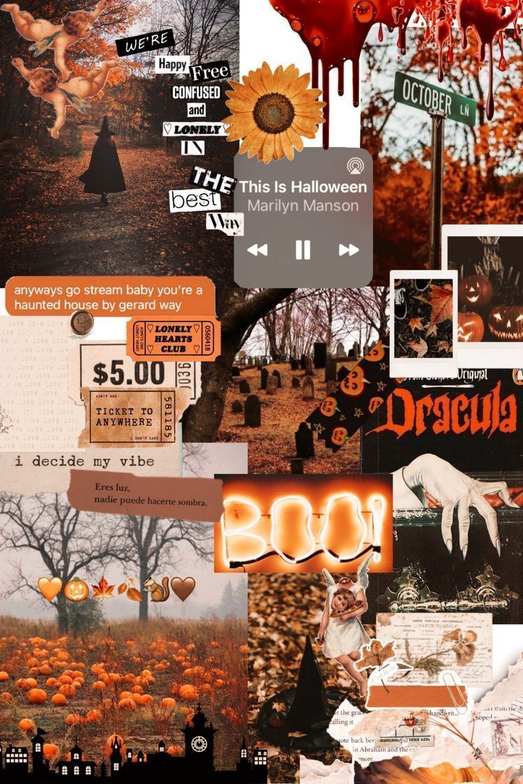 Halloween aesthetic background with pumpkins, bats, and witch hats. - Halloween, spooky, collage