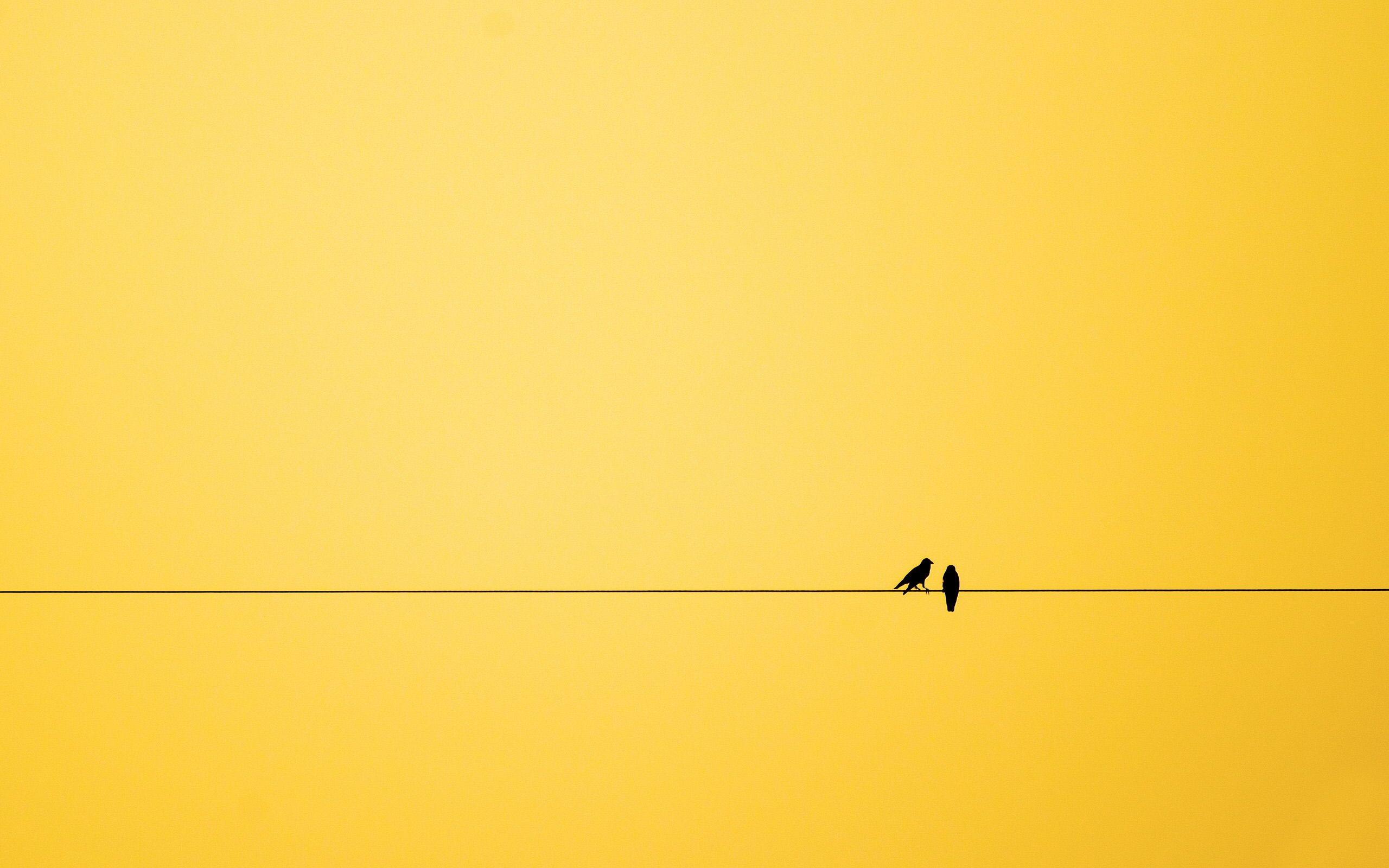 Two birds sitting on a wire against a yellow sky - 2560x1600, minimalist, yellow