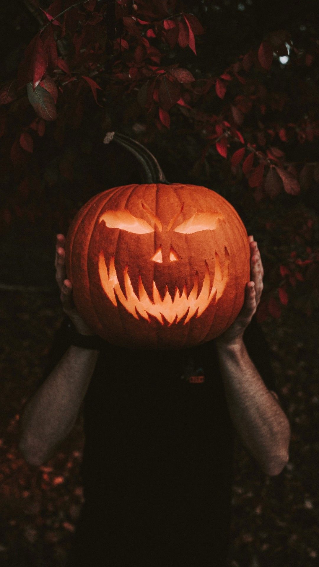 Halloween iPhone wallpaper with a carved pumpkin. - Halloween