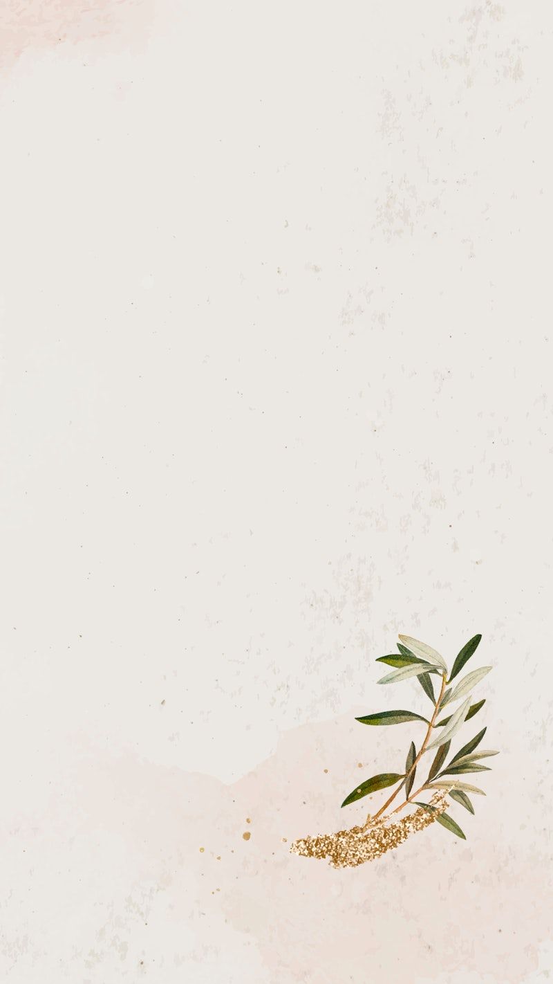 Olive branch on a pink and white background - Minimalist