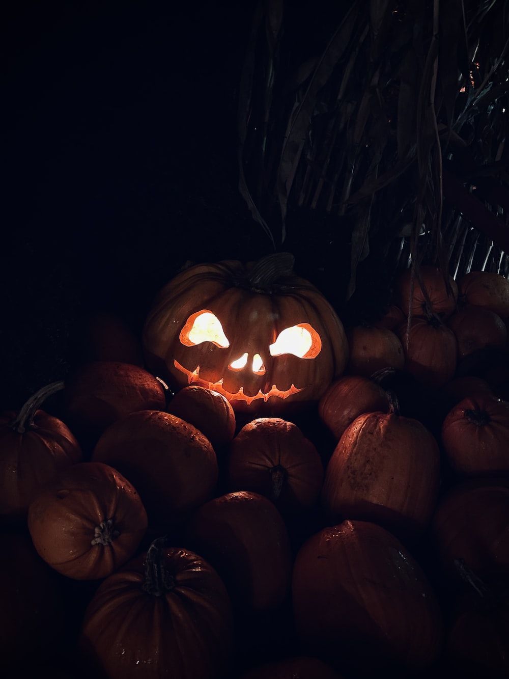 A pumpkin with a glowing face sits in a pile of other pumpkins. - Halloween, cute Halloween