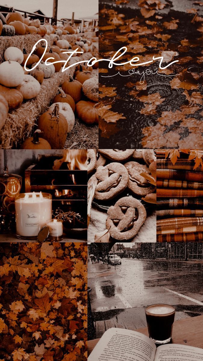 Autumn Collage Aesthetic Wallpaper : Love Autumn I Take You. Wedding Readings. Wedding Ideas