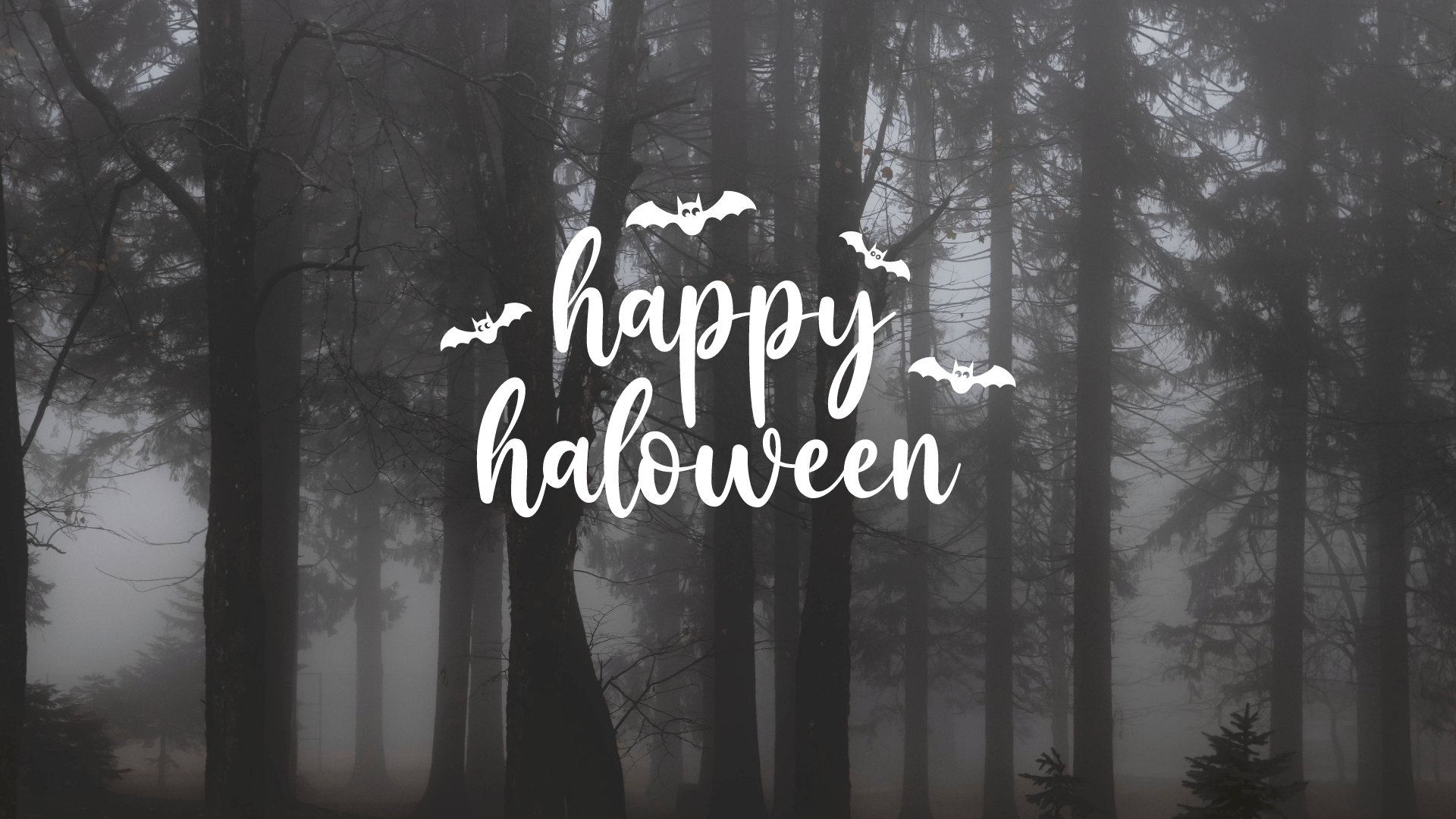 Halloween forest background with bats and text - Halloween desktop, Halloween, calligraphy