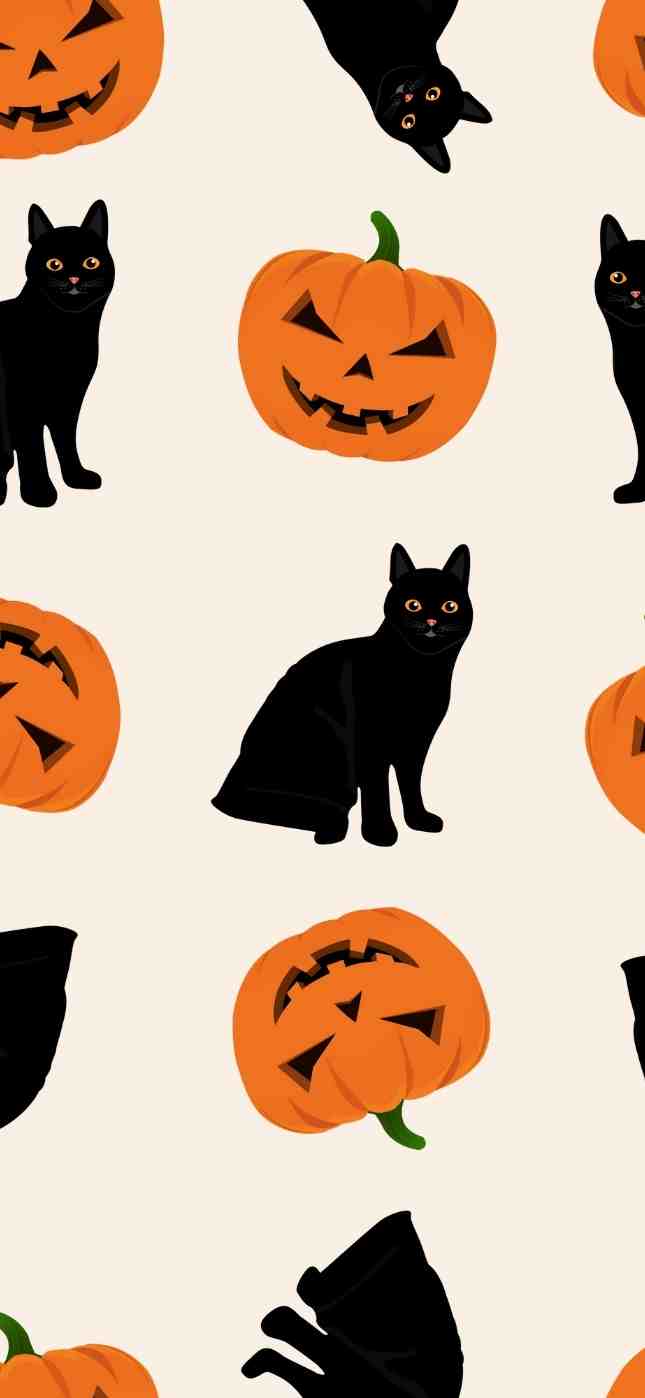 A cute Halloween wallpaper with black cats and pumpkins - Halloween