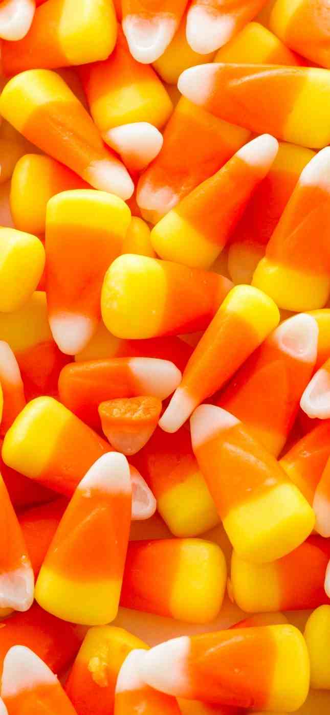Close up of candy corn for Halloween. - Candy, Halloween