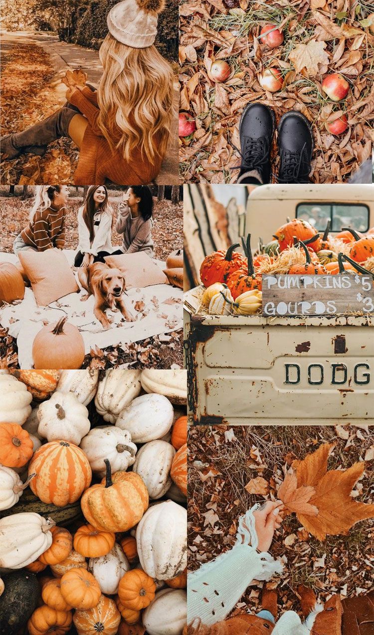 Autumn Collage Wallpaper : Autumn Brown