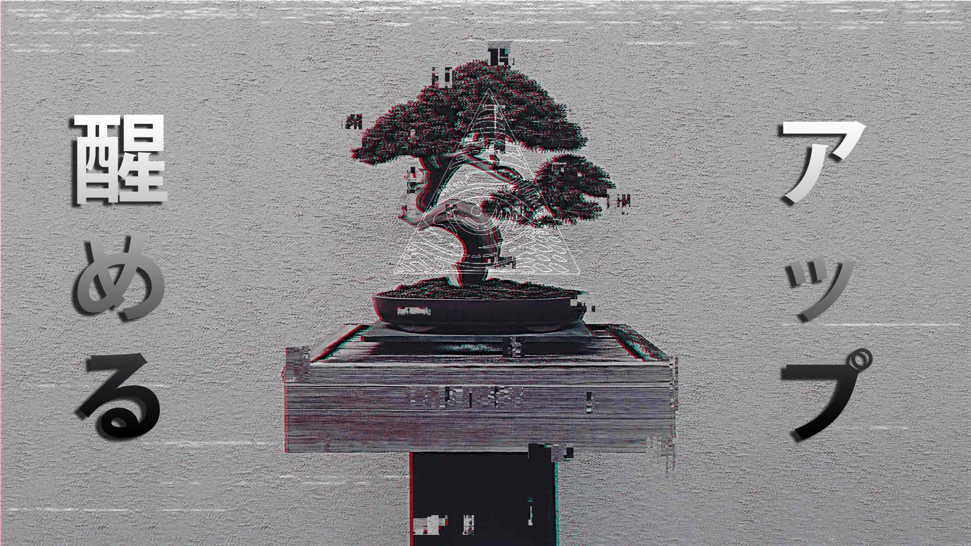 A bonsai tree in a black pot on a grey stand. - Desktop, horror, gray