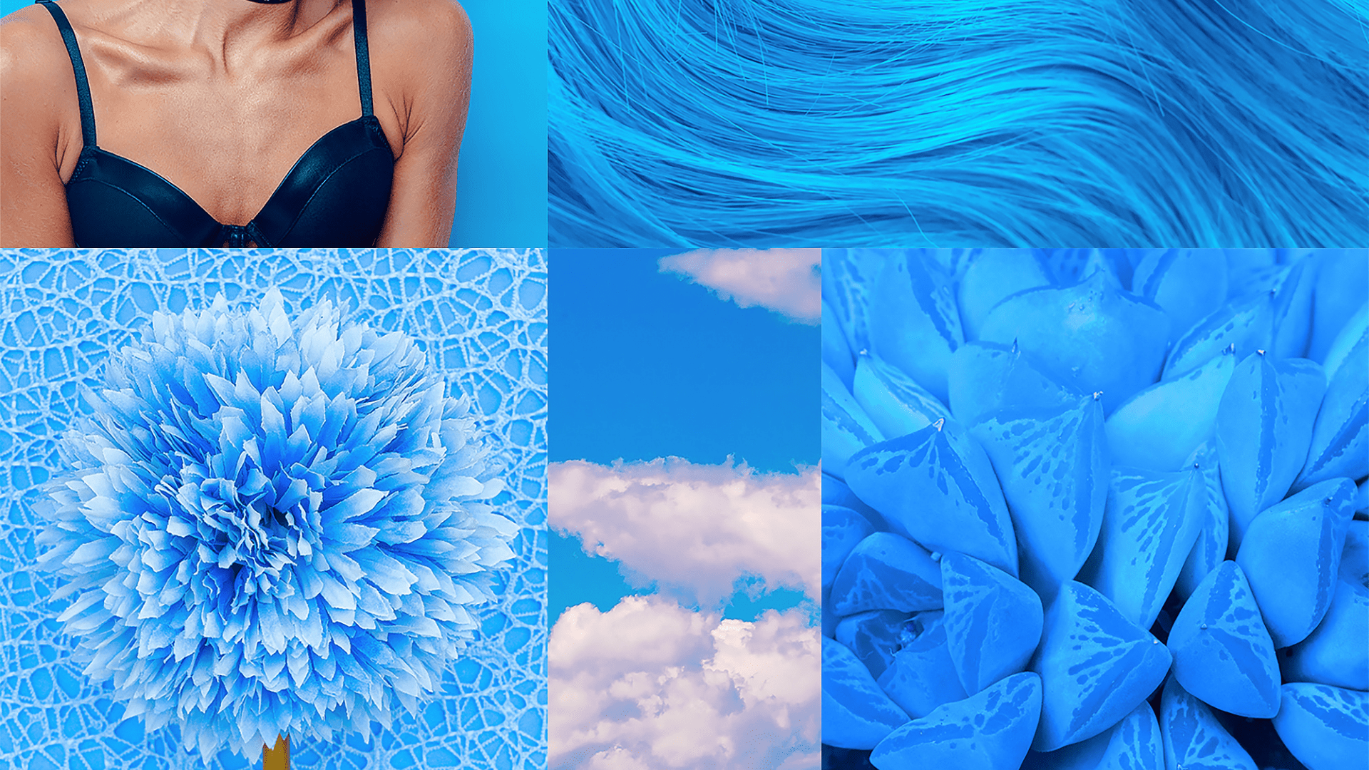 A collage of blue images including a woman's torso, hair, and flowers. - Computer, blue, desktop
