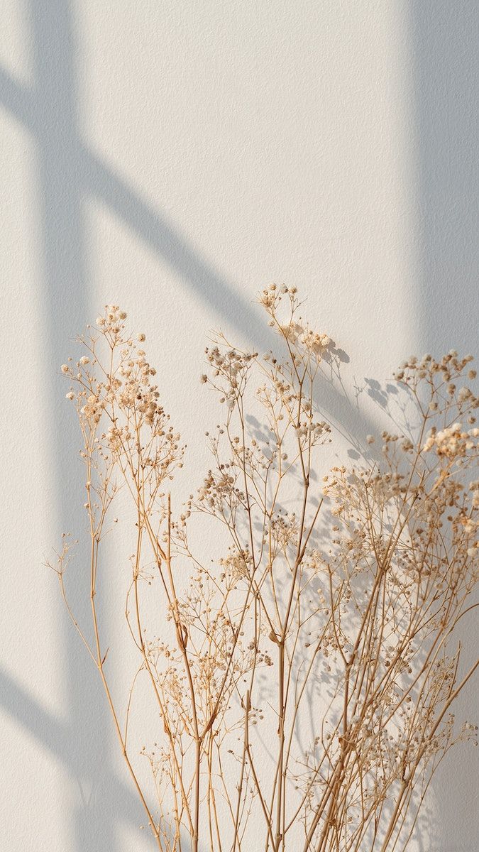 Aesthetic iPhone wallpaper, minimal beige